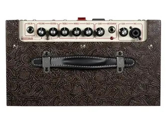 Ashdown AA-Woodsman Parlour Acoustic Guitar Amplifier
