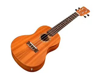 Cordoba 28C-E Concert Ukulele