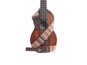 Kala Stripe Ukulele Strap - Amazon