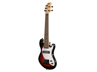 Solid Body 5-String Tobacco Burst Fretted U-BASS