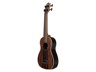 Striped Ebony Fretless Acoustic-Electric U-BASS