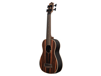 Striped Ebony Acoustic-Electric U-BASS