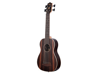 Striped Ebony With Round Wounds Acoustic-Electric U-BASS