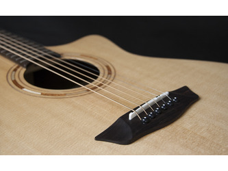 Washburn Comfort G20SCE Solid Sitka Spruce Top Grand Auditorium Electro Acoustic Guitar