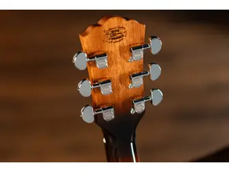 Washburn G10CE Grand Auditorium Electro Acoustic Guitar 