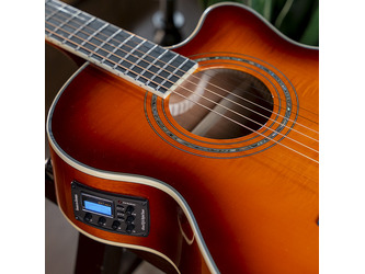 Washburn EA15 Festival Series Mini Jumbo Cutaway Acoustic Electric Guitar. Ice Tea Burst