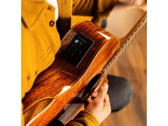 Washburn Electro Acoustic Guitar G55CE KOA - Grand Auditorium - Natural