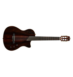 Cordoba Stage Exotic Ziricote Electro Nylon Guitar & Case