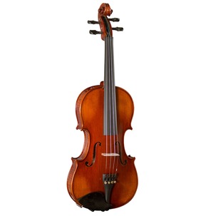 Hidersine Piacenza Violin Outfit with Wittner Fine Tune Pegs