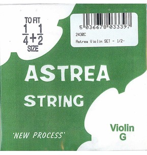 Astrea 1st Violin E String