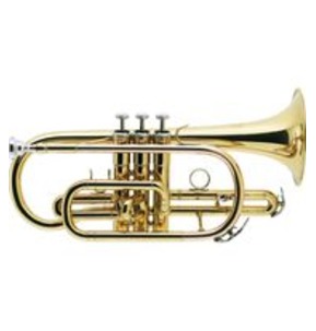 J. Michael Cornet outfit 