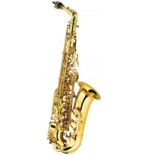 J.Michael Alto Saxophone Outfit
