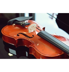 Paragon Violin Outfit Including Case, bow and Rosin. Fully Set Up - 3/4 - SALE