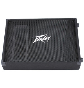 Peavey PV 15M Monitor