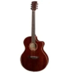 Faith Neptune FX Dark Natural Gold Cutaway Electro