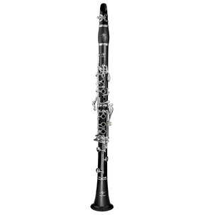 Trevor James Series 5 Clarinet Outfit - Silver Plated Keys 