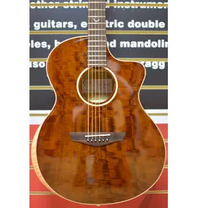 Faith Neptune FX Dark Natural Gold Cutaway Electro