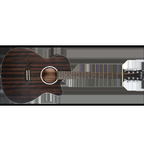 Washburn Deep Forest Striped Ebony Ace Electro Acoustic Guitar