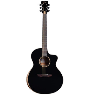 Faith Eclipse Neptune Cutaway Electro - Black - Incl Hard Case 