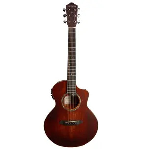 Rathbone Navigator - Spruce/Mahogany Electro cutaway Acoustic Guitar - Inc. Gigbag