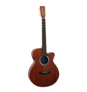 Tanglewood Elemental Series Electro Acoustic Super Folk Guitar