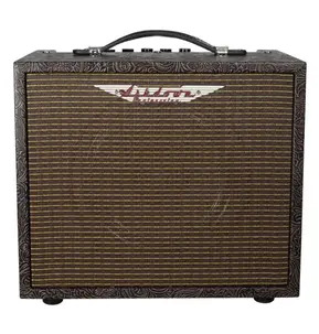 Ashdown AA-Woodsman Parlour Acoustic Guitar Amplifier