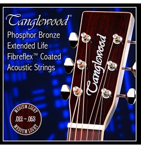 Tanglewood TWGS 12 Phosphor Bronze Extended Life Acoustic Strings - Medium Light