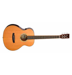 Tanglewood TRS1E Smart Series Electro Acoustic Guitar