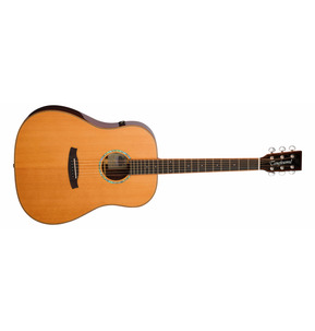 Tanglewood TRS5SE Smart Series Electro Acoustic Guitar 