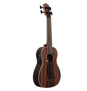 Striped Ebony Fretless Acoustic-Electric U-BASS