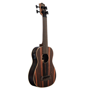 Striped Ebony Acoustic-Electric U-BASS