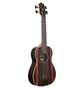 Striped Ebony With Round Wounds Acoustic-Electric U-BASS