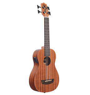 Wanderer Acoustic-Electric U-BASS w/ Round Wounds