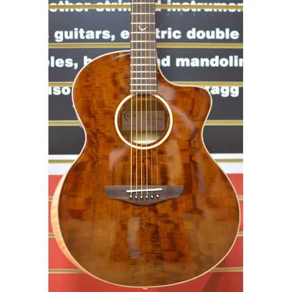 Faith Neptune FX Dark Natural Gold Cutaway Electro