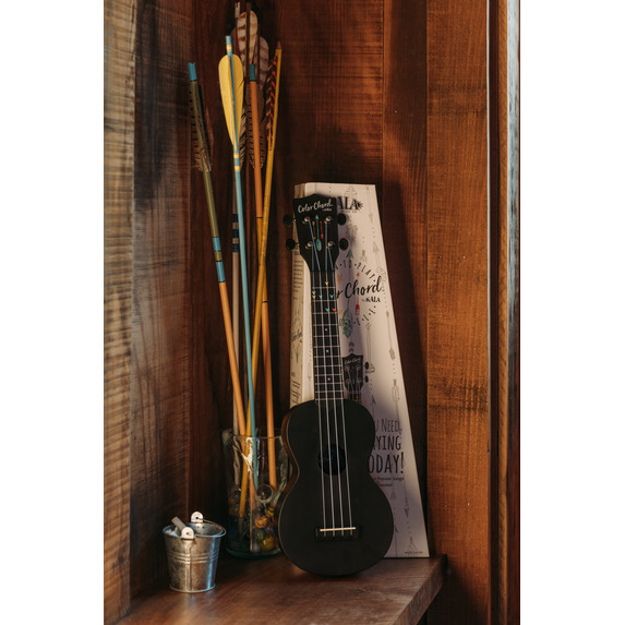 Kala Learn To Play Recycled Colour Chord Soprano Ukulele Starter Kit