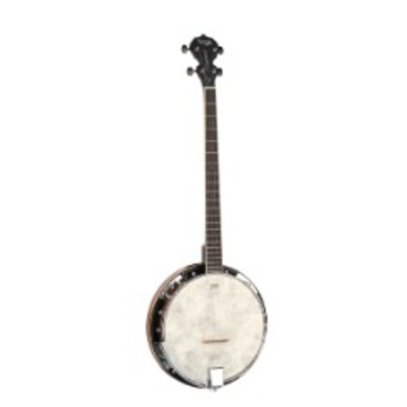 Tanglewood Union Series TUB4 4 String Banjo