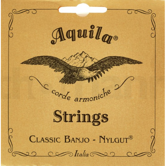 (16B) Aquila 5 string Banjo Historical Synthetic Set