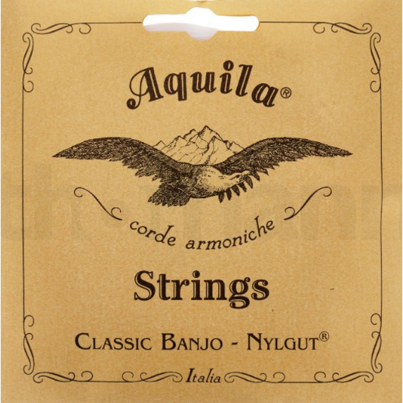 (7B) Aquila Minstrel Banjo Set