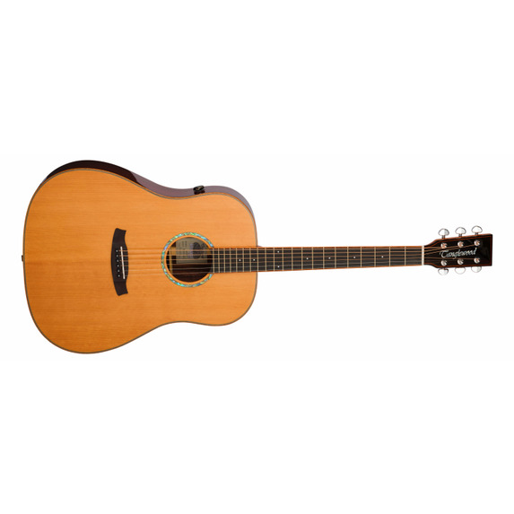 Tanglewood TRS5SE Smart Series Electro Acoustic Guitar 